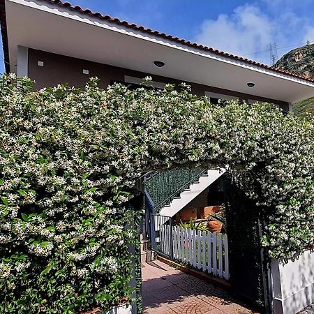 ポッツオーリ La Casa Di Barry Bed & Breakfast エクステリア 写真